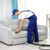 Upholstery Cleaning