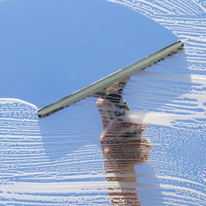 Window and Solar Panel Cleaning